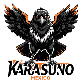 Club de Voleibol KARASUNO