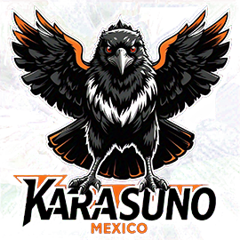 Club de Voleibol KARASUNO